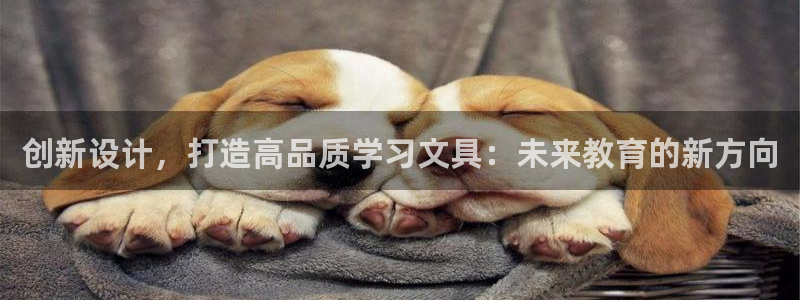 卧龙娱乐登录地址：创新设计，打造高品质学