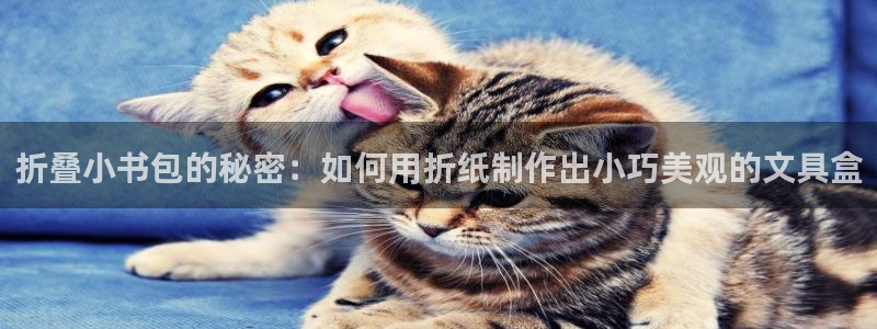 星酱娱乐卧龙：折叠小书包的秘密：如何用折