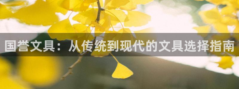 卧龙娱乐 找86555：国誉文具：从传统