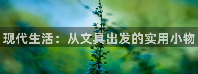 卧龙娱乐在线官网