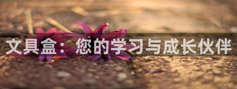 娱乐聚焦卧龙凤雏：文具盒：您的学习与成长