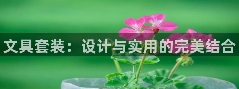 卧龙看娱乐：文具套装：设计与实用的完美结