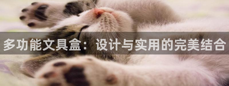卧龙娱乐在线直播观看：多功能文具盒：设计