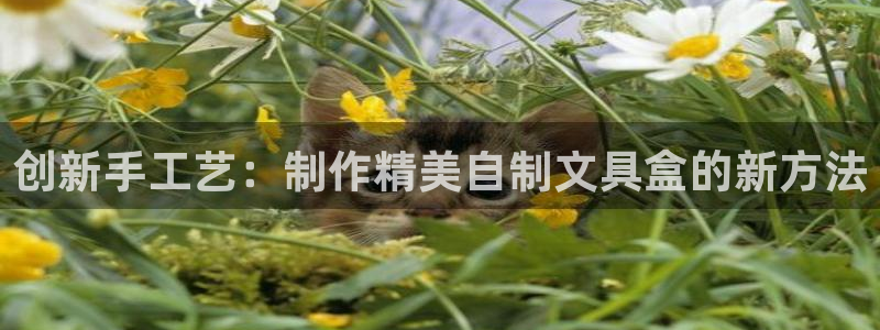 卧龙娱乐老板：创新手工艺：制作精美自制文