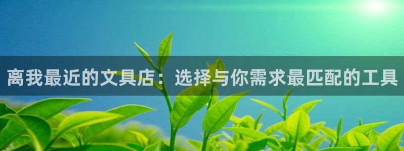 卧龙湾娱乐会所：离我最近的文具店：选择与