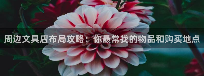 卧龙凤锄娱乐：周边文具店布局攻略：你最常