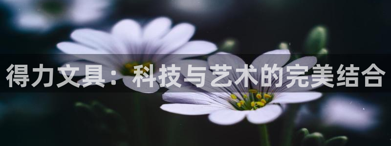 卧龙娱乐左7O667：得力文具：科技与艺