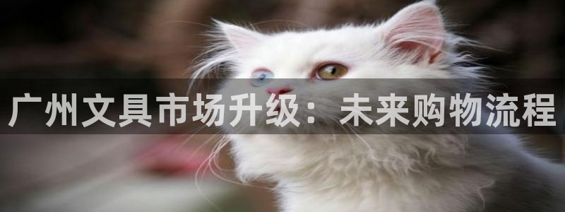 卧龙娱乐app下载苹果：广州文具市场升级