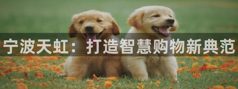 卧龙娱乐上：宁波天虹：打造智慧购物新典范