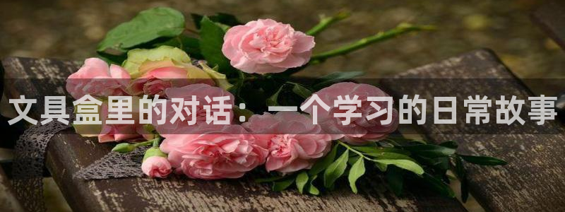 卧龙娱乐qv87555：文具盒里的对话：