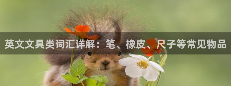 卧龙娱乐下载：英文文具类词汇详解：笔、橡