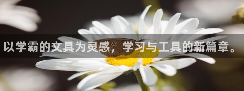 肥羊娱乐卧龙凤雏：以学霸的文具为灵感，学