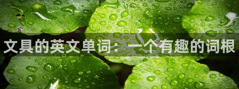 qq娱乐 卧龙招商60447：文具的英文
