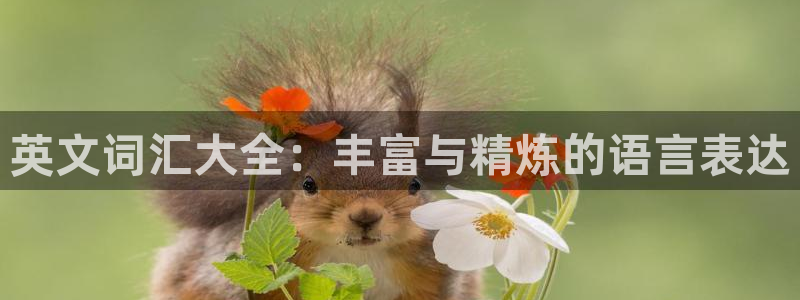 卧龙娱乐有限公司：英文词汇大全：丰富与精