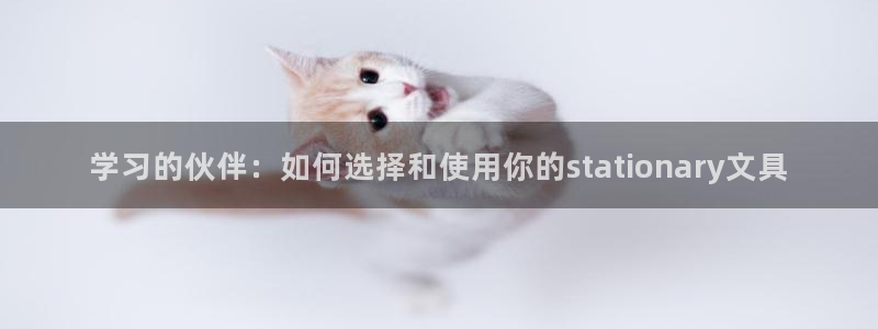 卧龙娱乐app彩票下载：学习的伙伴：如何