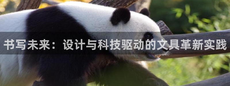卧龙娱乐322901：书写未来：设计与科