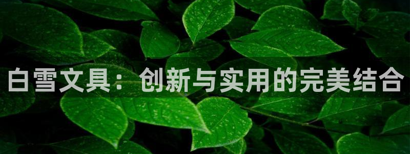 卧龙娱乐怎么注册新账号：白雪文具：创新与