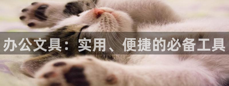 卧龙娱乐老板叫什么名子：办公文具：实用、
