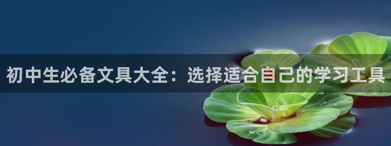 卧龙娱乐怎么样啊：初中生必备文具大全：选