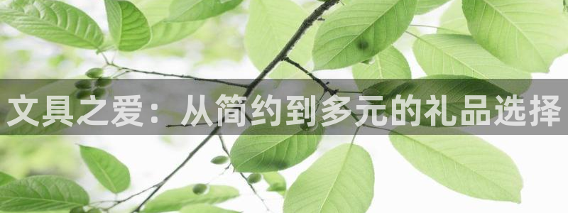 卧龙娱乐总代理是谁呀：文具之爱：从简约到