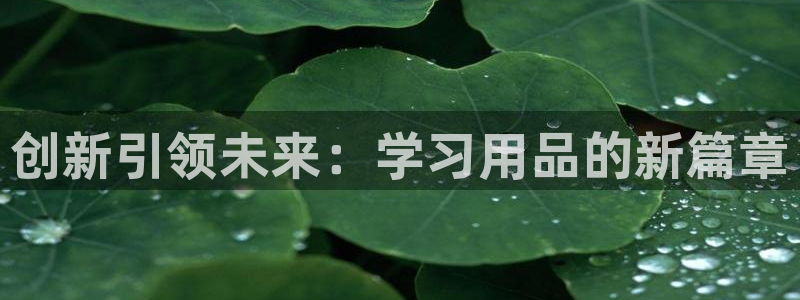 卧龙娱乐测速：创新引领未来：学习用品的新