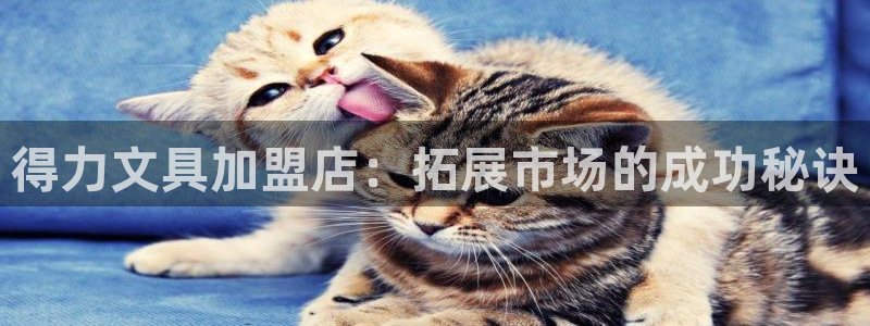 卧龙山娱乐：得力文具加盟店：拓展市场的成