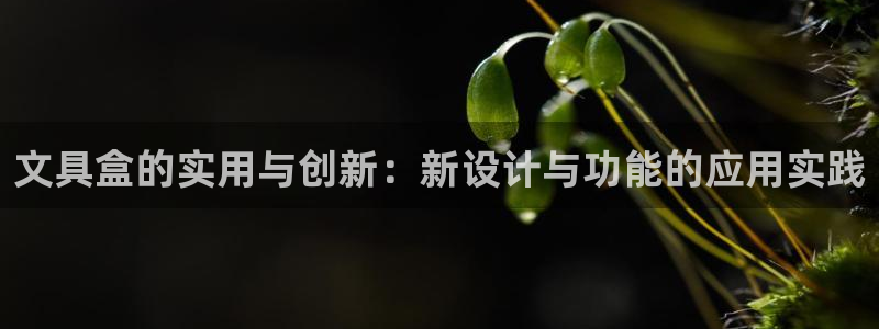 卧龙娱乐是不是骗子：文具盒的实用与创新：