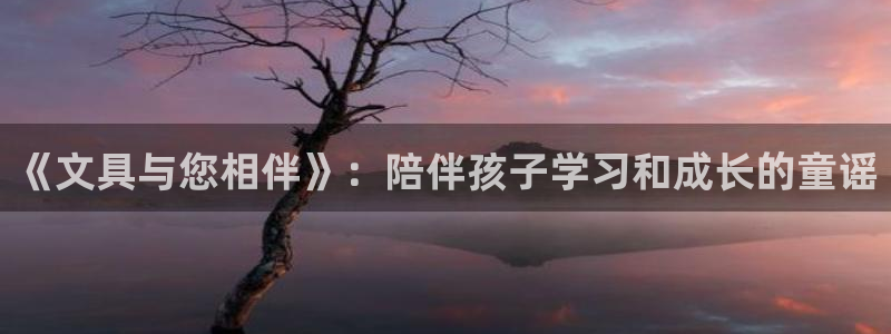 卧龙娱乐拆卡攻略：《文具与您相伴》：陪伴