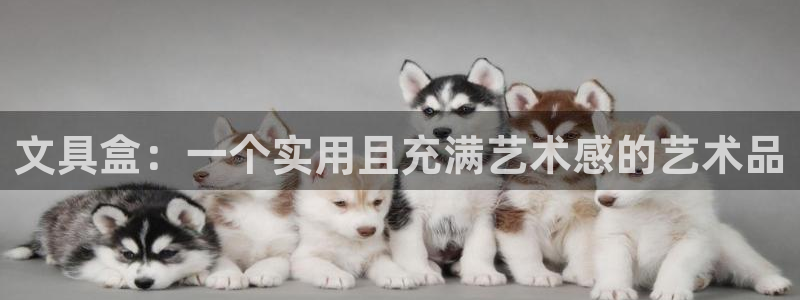 凤岗卧龙台球娱乐会所：文具盒：一个实用且