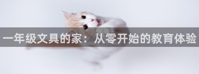 卧龙娱乐：一年级文具的家：从零开始的教育
