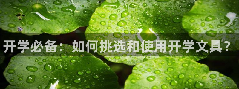 卧龙湾娱乐区：开学必备：如何挑选和使用开