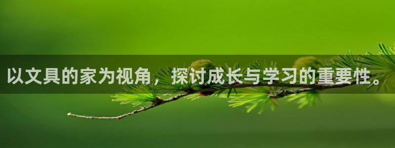 卧龙环岛儿童娱乐：以文具的家为视角，探讨