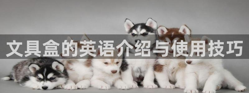 卧龙娱乐老板叫什么：文具盒的英语介绍与使