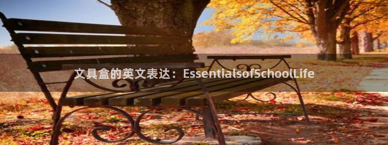 卧龙路凤凰娱乐：文具盒的英文表达：Ess