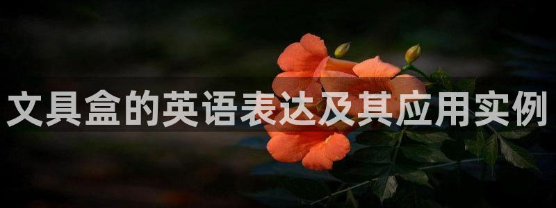 卧龙娱乐怎么注册会员：文具盒的英语表达及