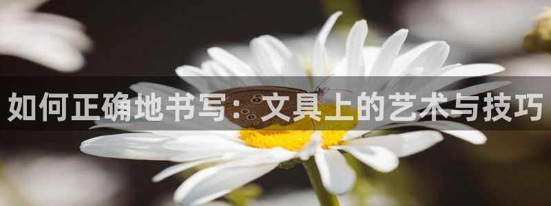 柏林娱乐- 0 卧龙：如何正确地书写：文