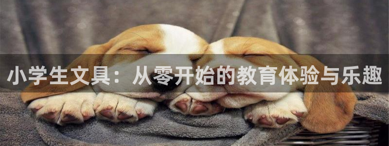 卧龙娱乐是不是骗子