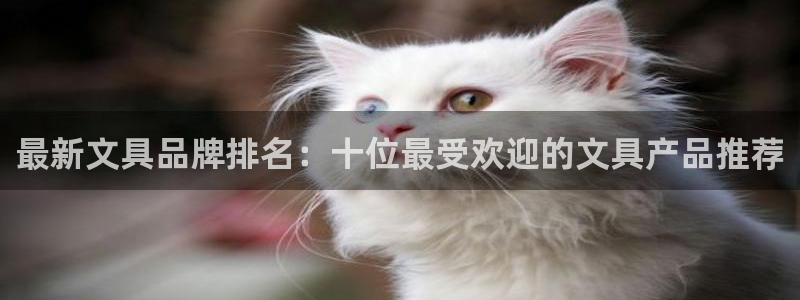 卧龙娱乐过山车：最新文具品牌排名：十位最