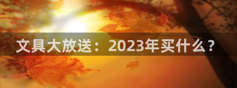 卧龙港休闲娱乐会所：文具大放送：2023