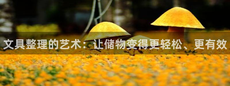 sky娱乐畅通卧龙86877：文具整理的