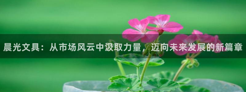 卧龙娱乐左：晨光文具：从市场风云中汲取力