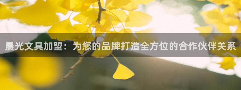 卧龙沙滩娱乐：晨光文具加盟：为您的品牌打