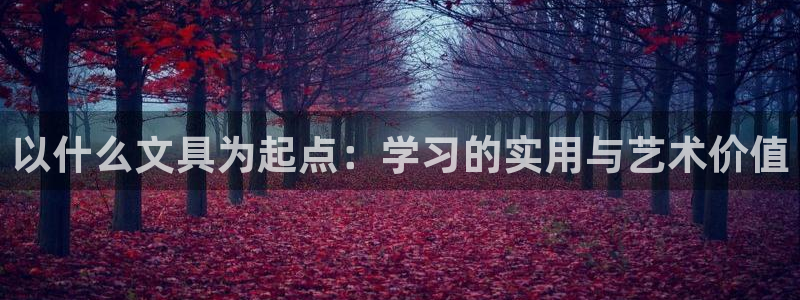 卧龙娱乐：以什么文具为起点：学习的实用与