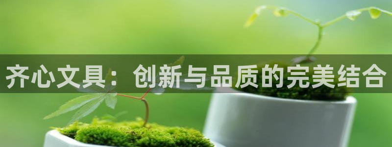 卧龙2神机娱乐代理：齐心文具：创新与品质