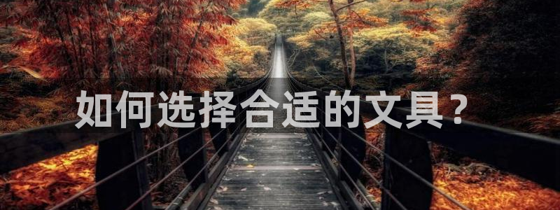 卧龙风雏娱乐：如何选择合适的文具？