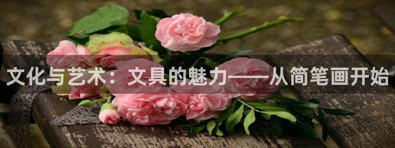 卧龙娱乐注册：文化与艺术：文具的魅力——