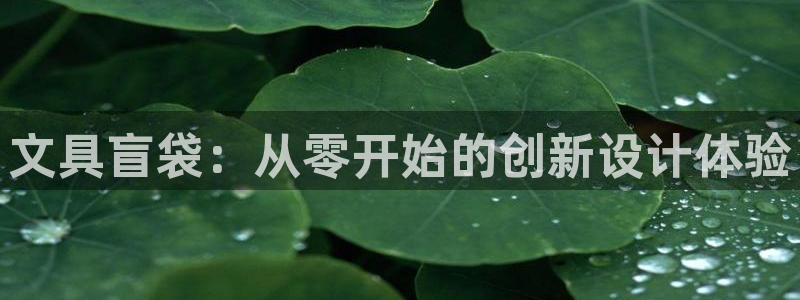 卧龙娱乐若七九九：文具盲袋：从零开始的创