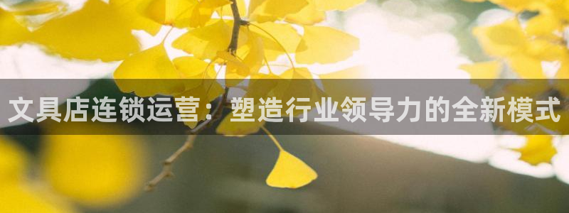 卧龙娱乐平台登录入口：文具店连锁运营：塑