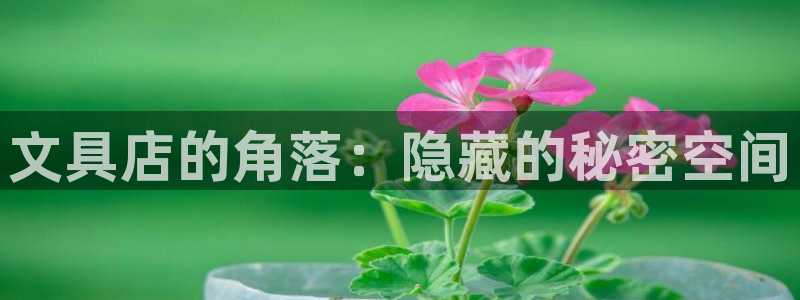 卧龙娱乐代理：文具店的角落：隐藏的秘密空