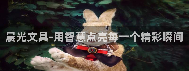 卧龙台球娱乐馆：晨光文具-用智慧点亮每一